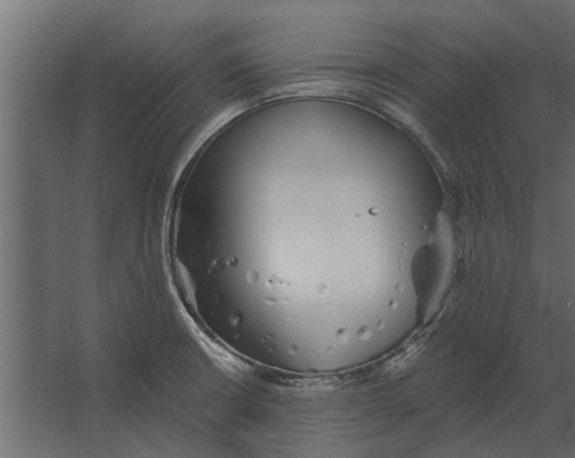 X0000067511426200604211739