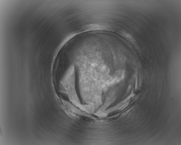 X0000067511427200604211739