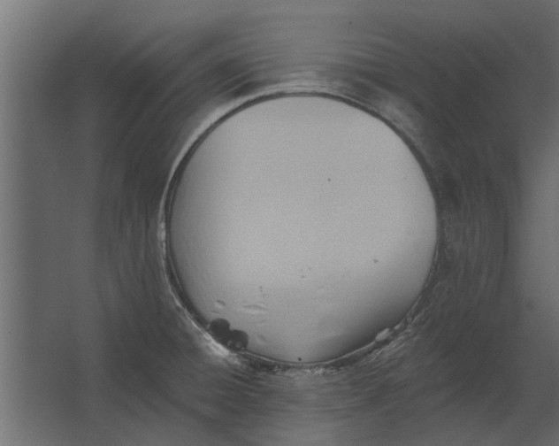 X0000067511428200604211739