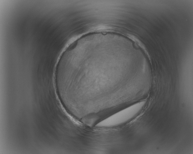 X0000067511429200604211739