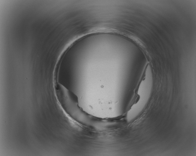 X0000067511430200604211739