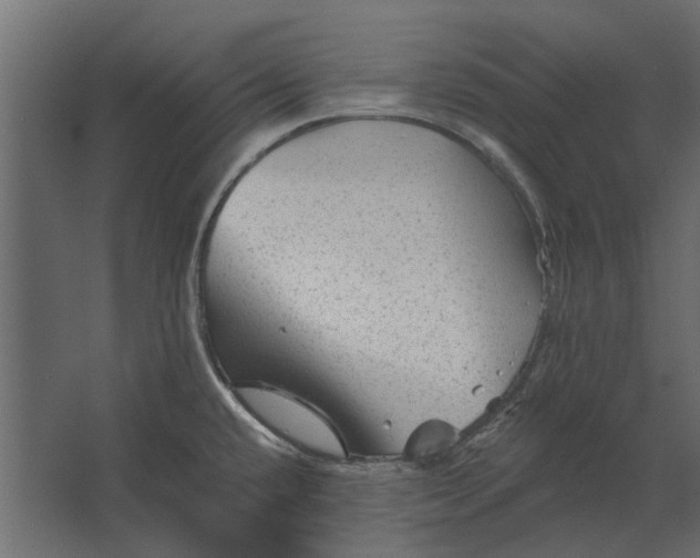 X0000067511432200604211739