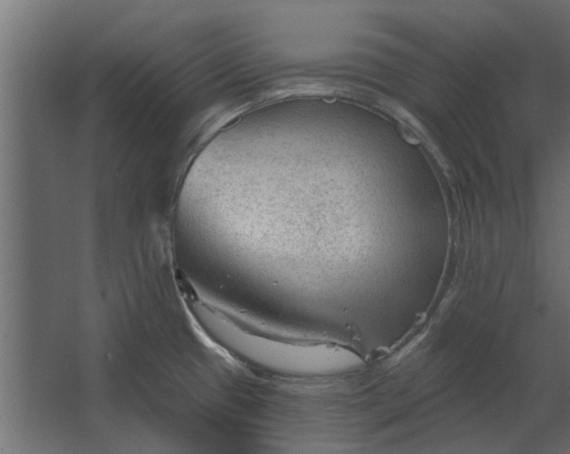 X0000067511433200604211739