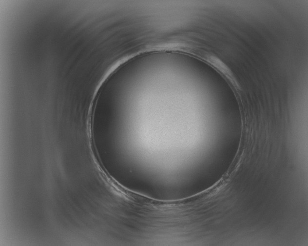 X0000067511436200604211739