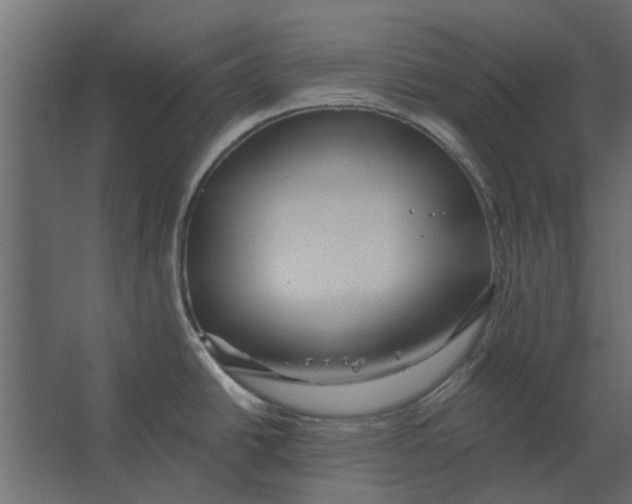 X0000067511438200604211739