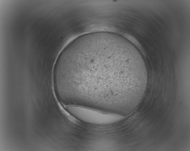 X0000067511439200604211739