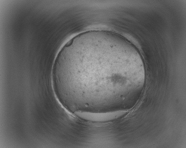 X0000067511440200604211739