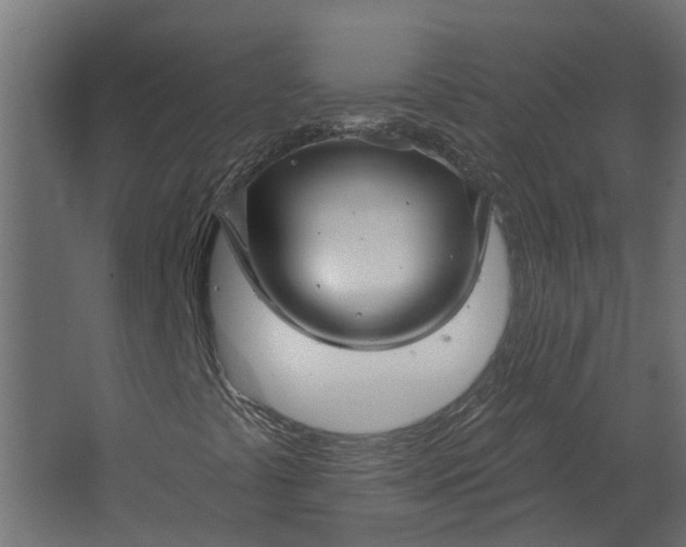 X0000067511441200604211739