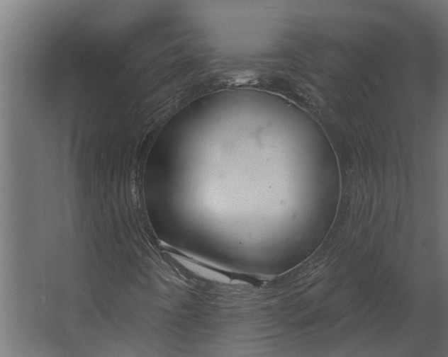 X0000067511442200604211739