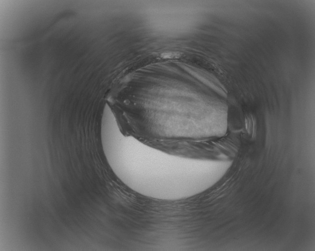 X0000067511443200604211739