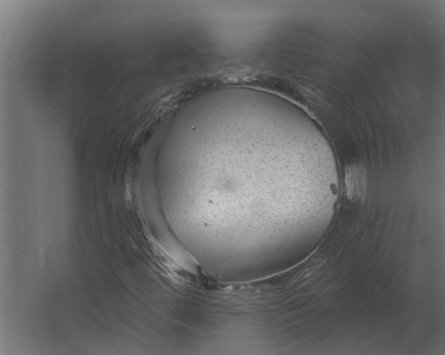 X0000067511444200604211738