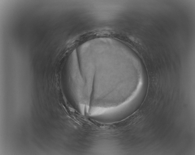 X0000067511445200604211738