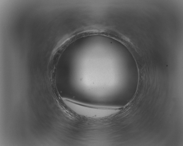 X0000067511448200604211738