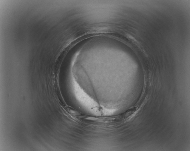 X0000067511449200604211738