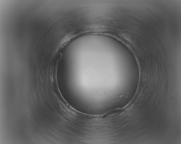 X0000067511451200604211738