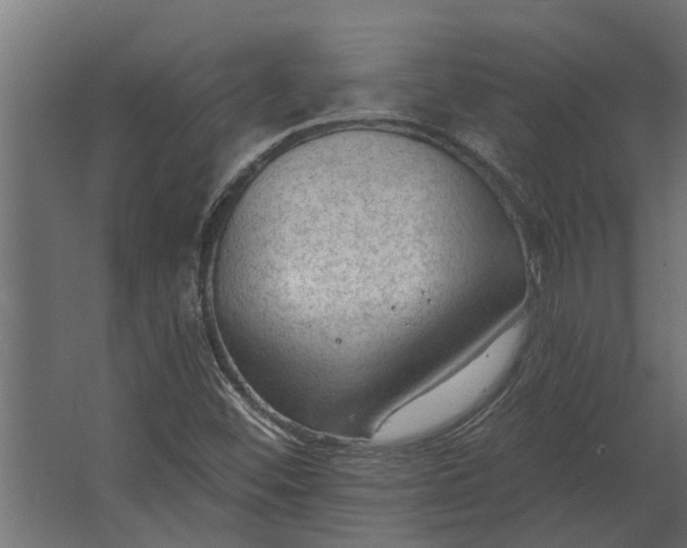 X0000067511452200604211738