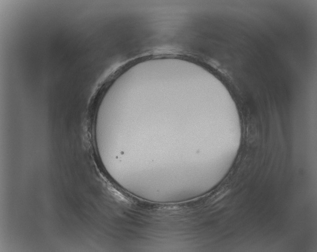 X0000067511454200604211738