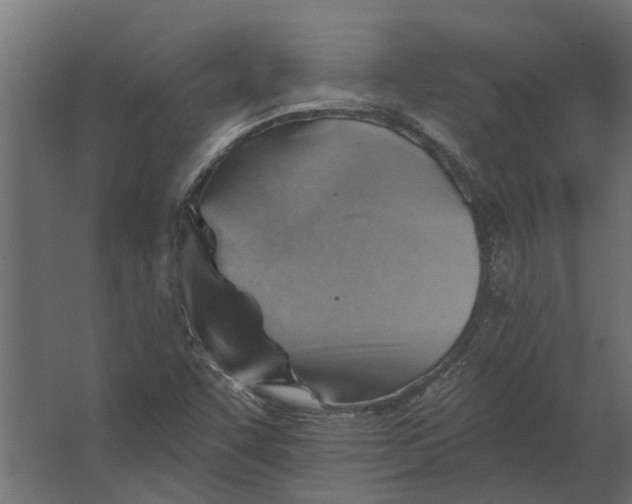 X0000067511455200604211738