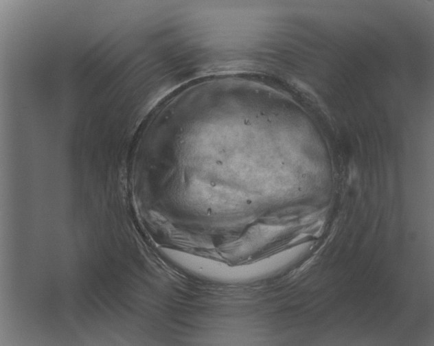 X0000067511457200604211738