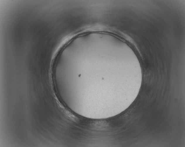 X0000067511464200604211738