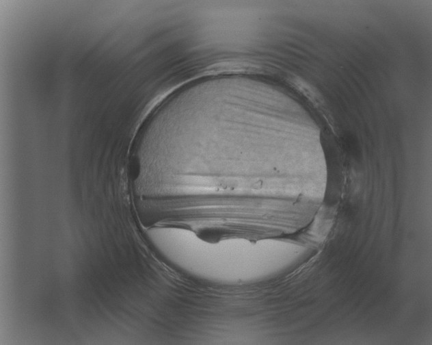 X0000067511465200604211738