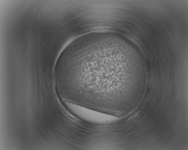 X0000067511467200604211738