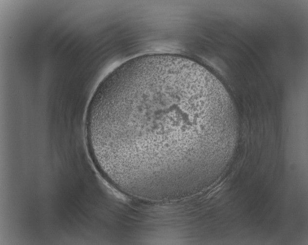 X0000067511471200604211738