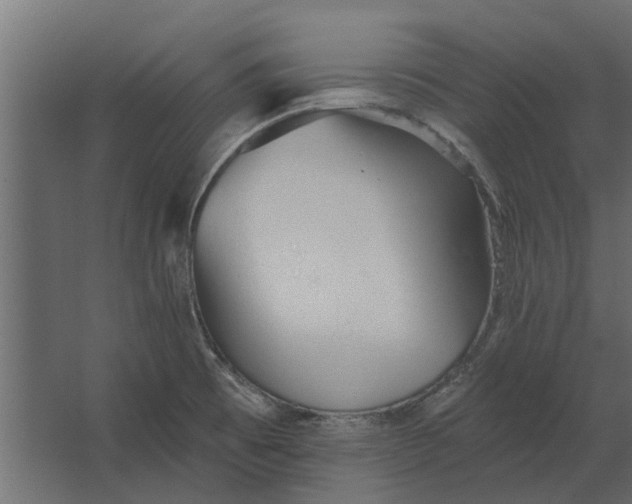 X0000067511473200604211738