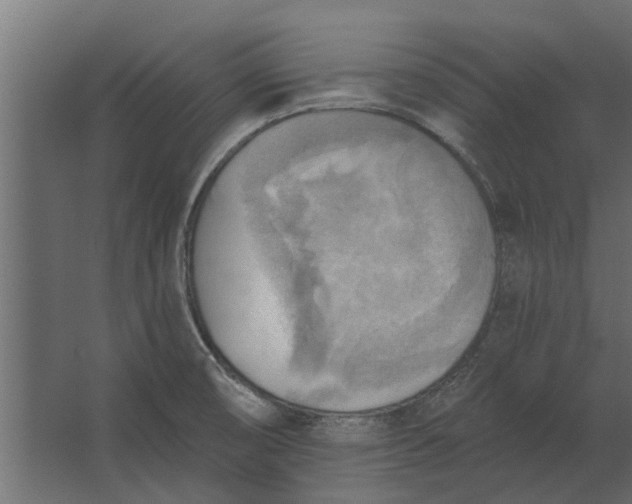 X0000067511474200604211738