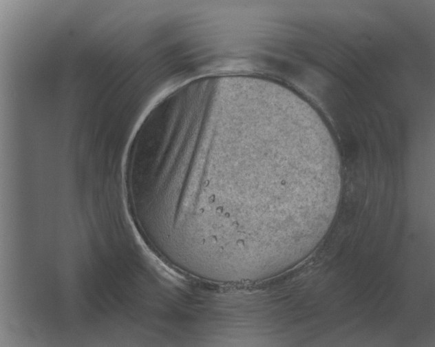 X0000067511475200604211738