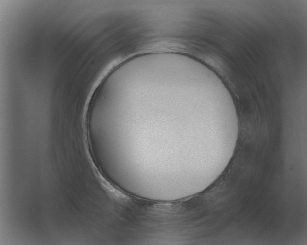 X0000067511478200604211738