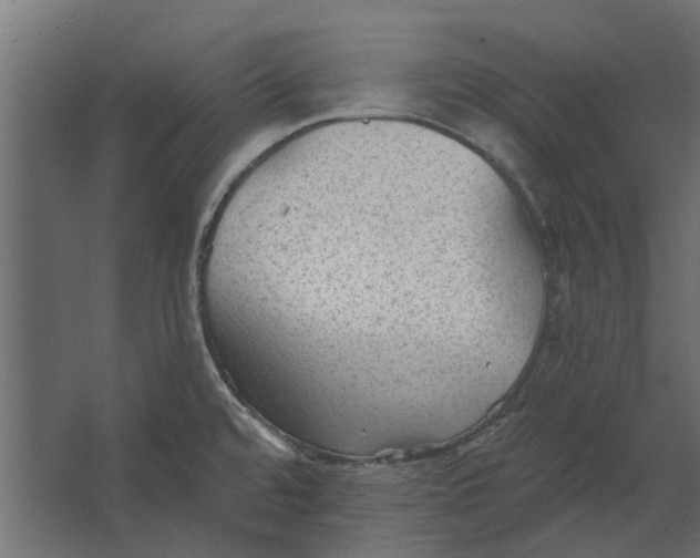 X0000067511480200604211738