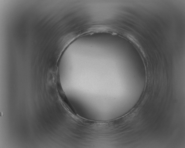 X0000067511481200604211738