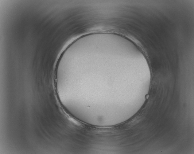 X0000067511486200604211738