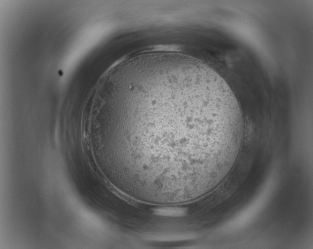 X0000067511487200604211738