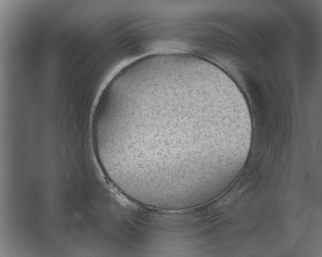 X0000067511488200604211738