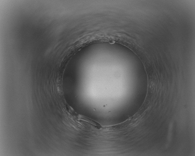 X0000067511490200604211737