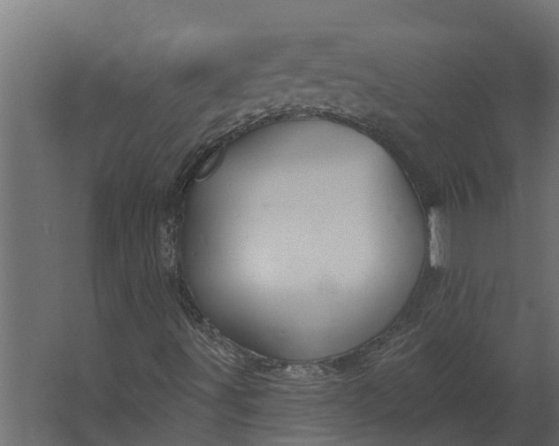 X0000067511491200604211737