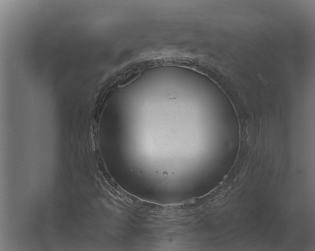 X0000067511493200604211737