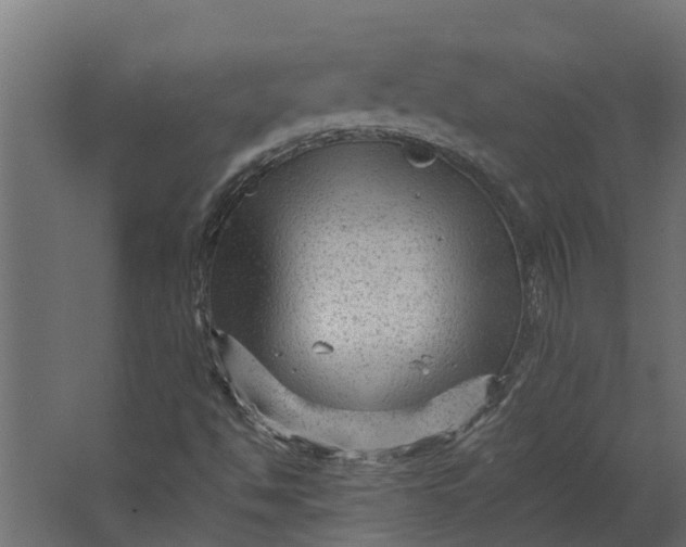 X0000067511494200604211737