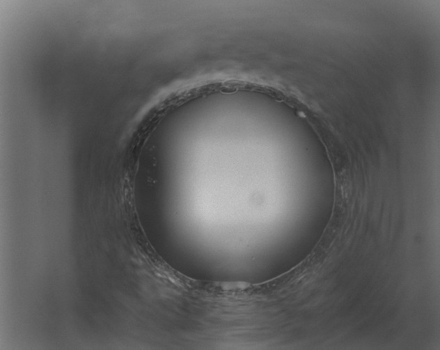 X0000067511495200604211737