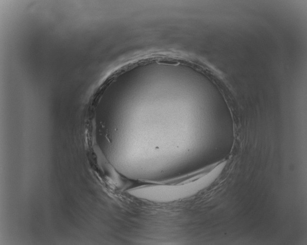 X0000067511496200604211737