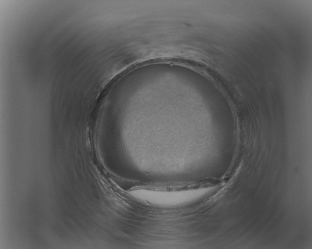 X0000067511497200604211737