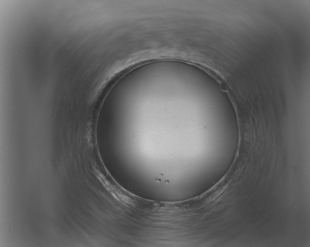 X0000067511499200604211737