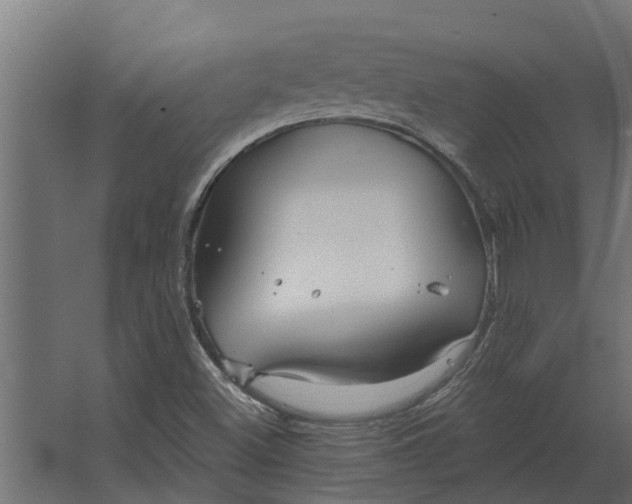 X0000067511500200604211737