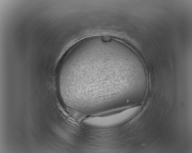 X0000067511501200604211737