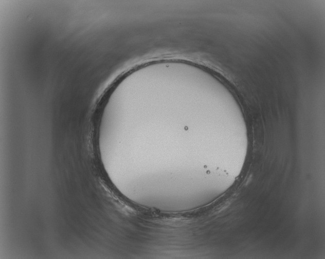 X0000067511502200604211737