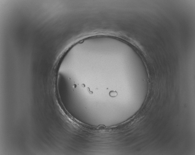 X0000067511504200604211737