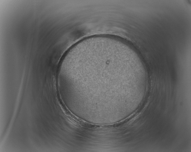 X0000067511505200604211737