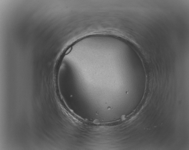 X0000067511506200604211737